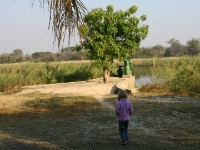 Kavango River Nkwazi Lodge
