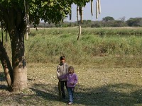 Kavango River Nkwazi Lodge