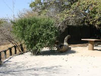 Shamvura Camp