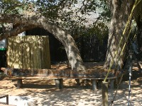 Shamvura Camp