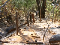 Shamvura Camp