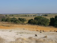 Kavango River Shamvura area