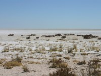 Etosha National Park