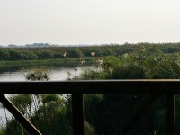 Okavango River