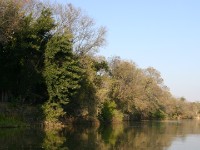 Okavango River