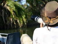 Okavango River