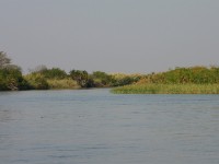 Okavango River