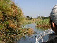 Okavango River