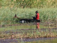 Okavango River