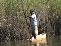 Okavango River