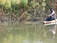 Okavango River