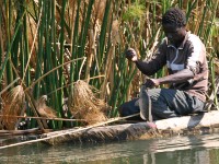 Okavango River