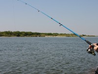 Okavango River