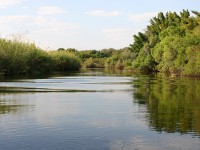 Okavango River