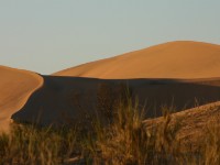 Rooibank