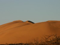 Rooibank