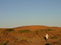 Rooibank
