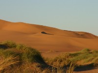 Rooibank