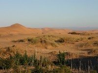 Rooibank