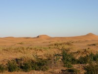 Rooibank