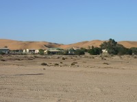 Rooibank
