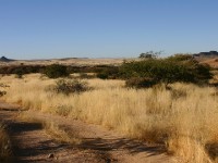 Spitzkoppe