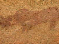 Spitzkoppe