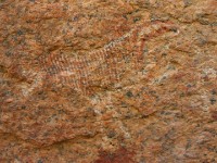 Spitzkoppe