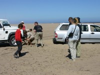 Walvis Bay