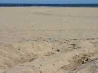 Walvis Bay