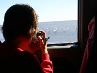 Walvis Bay