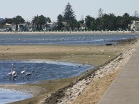 Walvis Bay
