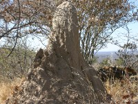 Waterberg Plateau Park