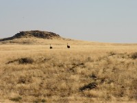 Namib Naukluft Park