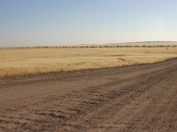 Namib Naukluft Park