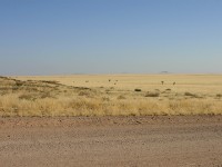 Namib Naukluft Park