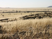 Namib Naukluft Park