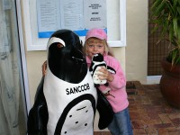 Boulders Beach