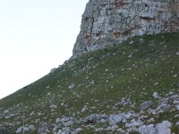 Rooi Els