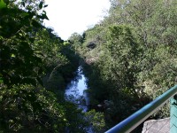 Harold Porter National Botanical Garden