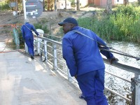 Malgas cable ferry