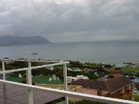 Avian Leisure in Simon’s Town