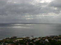 Avian Leisure in Simon’s Town