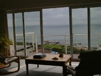 Avian Leisure in Simon’s Town