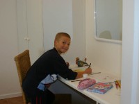 Avian Leisure in Simon’s Town