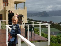 Avian Leisure in Simon’s Town