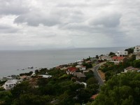 Avian Leisure in Simon’s Town