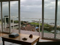 Avian Leisure in Simon’s Town