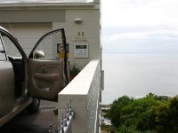 Avian Leisure in Simon’s Town