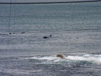 Simon’s Town